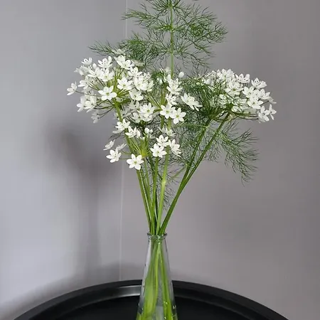 Casa de Férias La Vallee